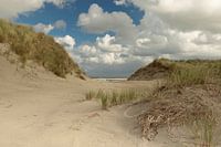 Plage d'Ameland