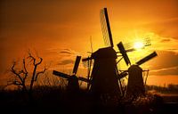 Windmühlen Kinderdijk