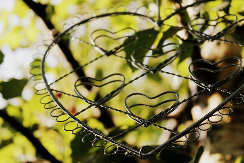 Love is in the air par Naomi Kroon