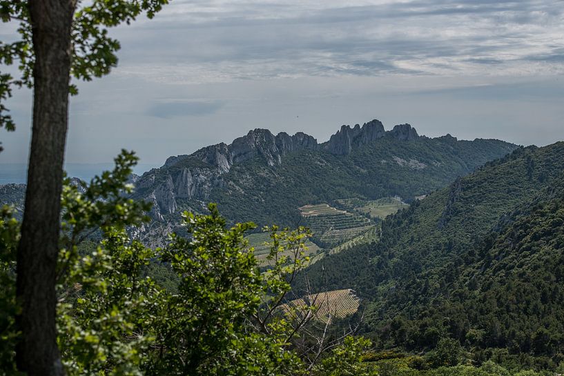 Provence von Johan Vet