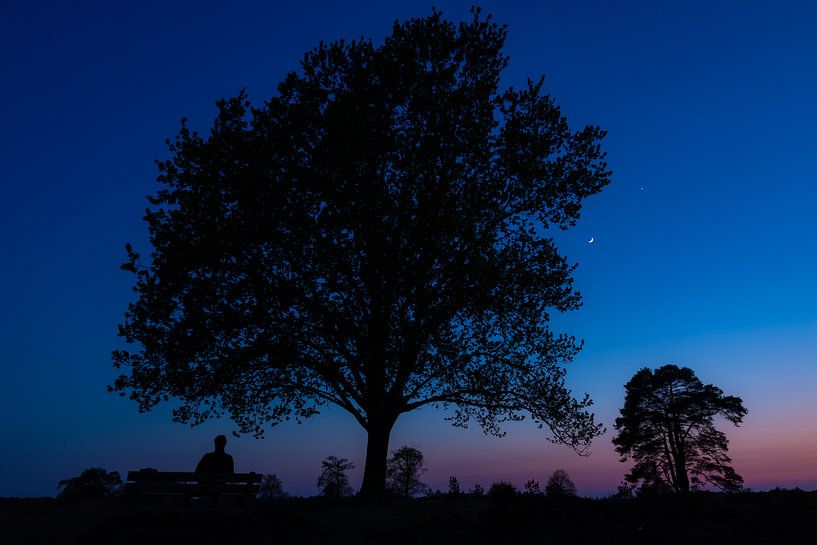 Wenn der Tag zur Nacht wird von Marcel Runhart