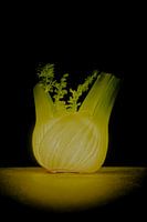 Strahlende Fenchelknolle