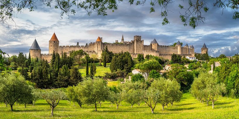 Carcassonne mit schöner Landschaft und Olivenbäumen von Voss Fine Art Fotografie