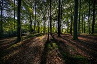 De Wildenborch, Vorden