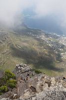 View Table Mountain
