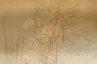 Die Einfachheit der Seriosität