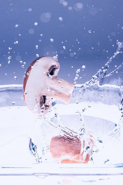 Les champignons tombent à l&#039;eau par Marc Heiligenstein