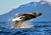 The beauty of nature!