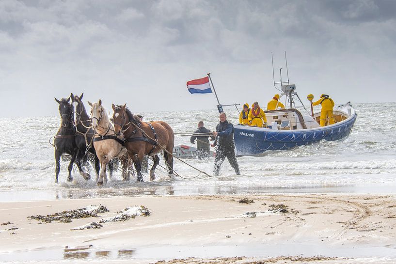 Pferderettungsboot Ameland von BeeldWoord