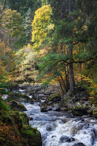 Hermitage, Dunkeld, im Herbst von Pascal Raymond Dorland