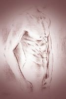 Seductive Men Nude - Erotic drawings