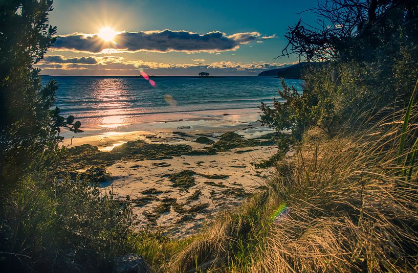 White Beach, Tasmanien von Sven Wildschut
