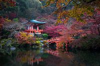 Japanese autumn
