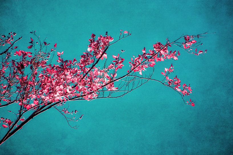 AUTUMN LEAVES by INA FineArt