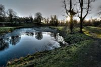 Levens Deer Park, Kendal Angleterre