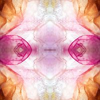 Gefrorene rosa abstrakt