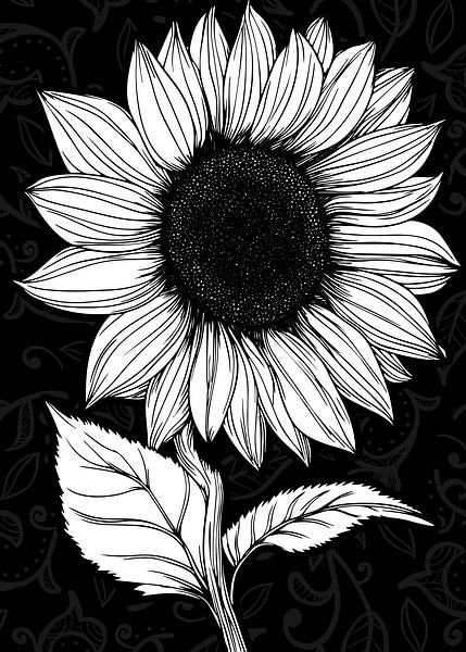 Tournesol détaillé sur fond noir par Pixelbull Design