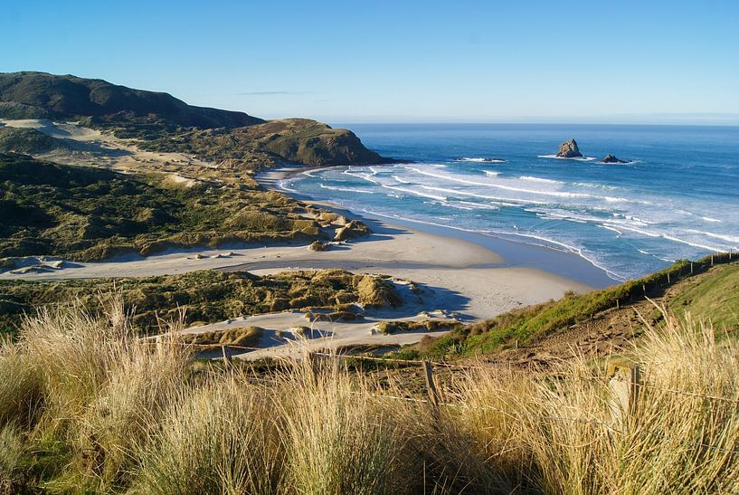 Sandfly beach dunedin par Niek Traas