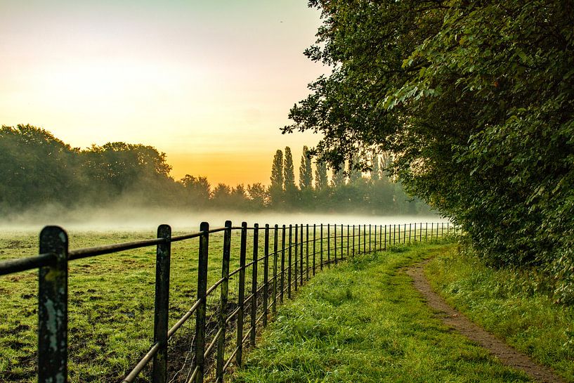 Nebel_01 von Johan Honders