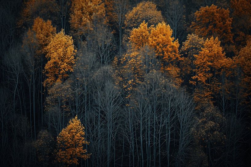 Romantic autumn forest by fernlichtsicht