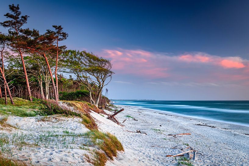 Abendstimmung an der Ostseeküste, auf dem Darß von Sascha Kilmer