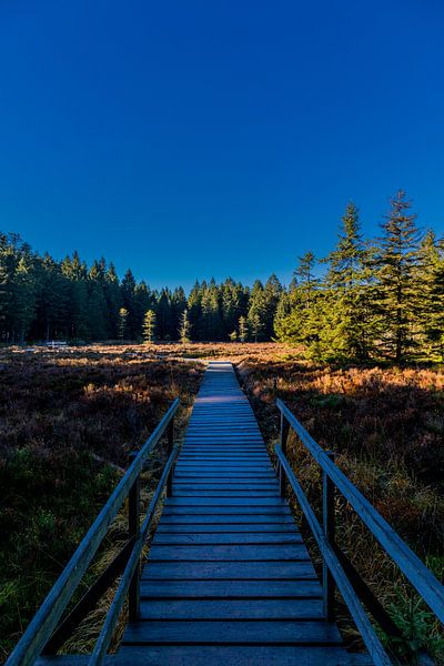 Herbstwanderung auf den Höhen des Thüringer Waldes von Oliver Hlavaty