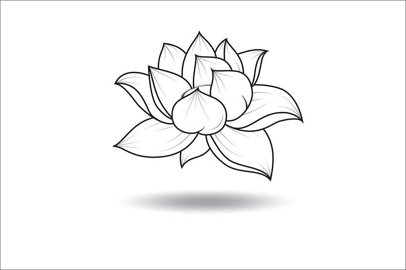 Fleur de lotus flottante par Marcel Derweduwen