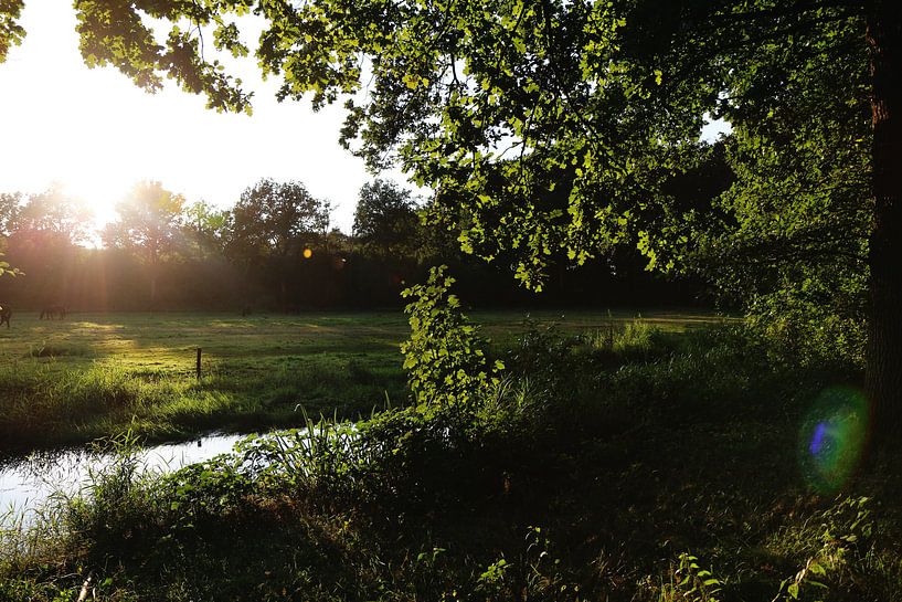 Bächlein durch die Wiesen von finn strikwerda