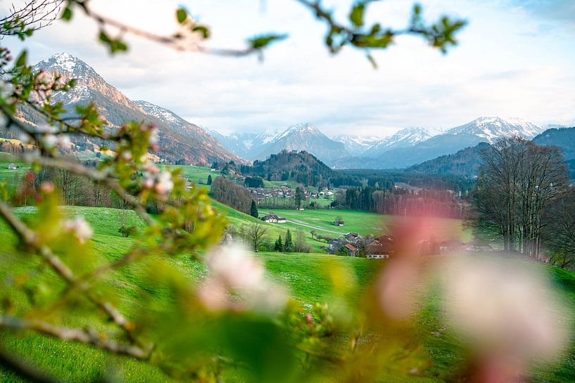 Bourgeons de printemps dans l'Oberallgäu avec vue sur les Alpes d'Allgäu par Leo Schindzielorz