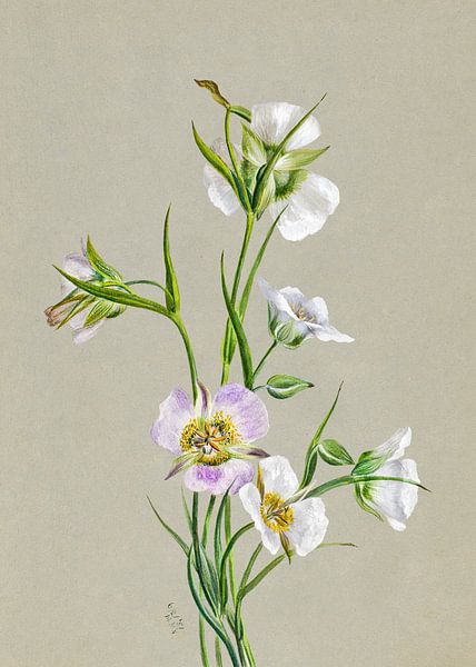 Op weg naar een monument (1881) van Pictufy 