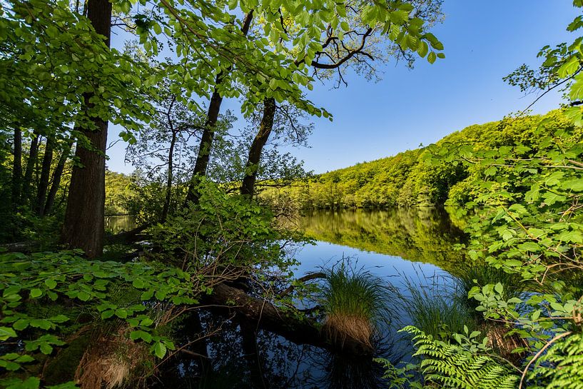 Herthasee im Jasmunder Nationalpark, Insel Rügen von GH Foto & Artdesign