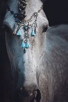 Fine art close up portrait horse jewellery blue