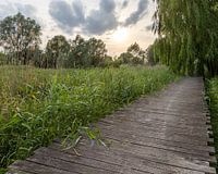 het Serge Berten pad in Menen