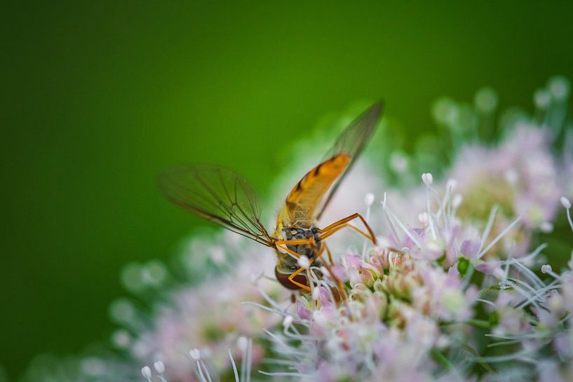 Von unten von Esther's Photos