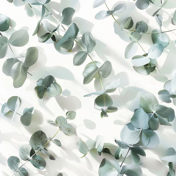 Eucalyptus branches by Poster Art Shop