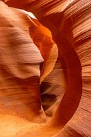 Kunst ist Natur, Natur ist Kunst