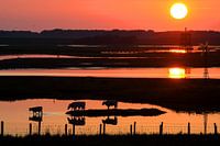 Sunset at the inlay on the Oosterschelde estuary