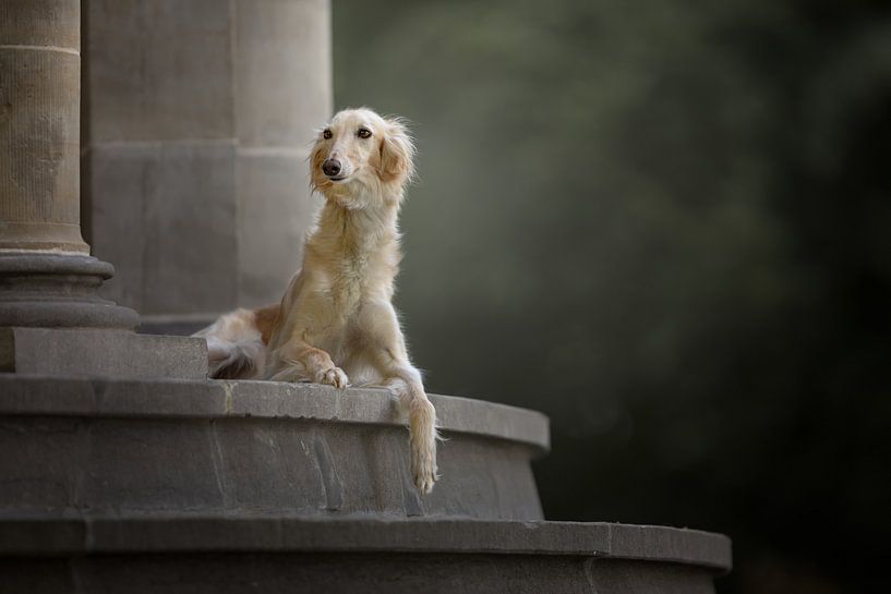 Schlosstreppe mit Hund von Nuelle Flipse