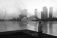 De Kop van Zuid, gezien vanaf de Veerhaven