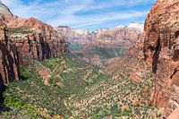 Canyon Overlook in Zion Nationaal Park in Amerika