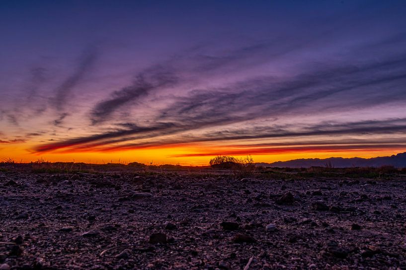Sonnenuntergangs-Phönix von leon brouwer