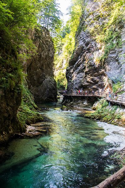 Vintgar gorge Slovenia by Joyce Schouten