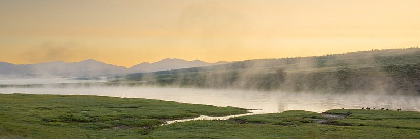 Hayden Valley au petit matin. par Kris Hermans