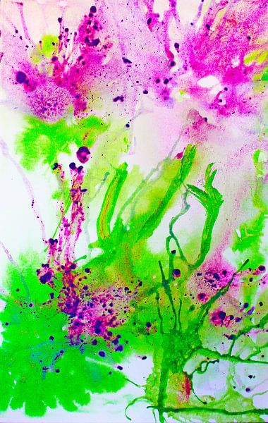 Springveren explosie van M.A. Ziehr