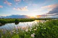 Niederländische Landschaft im Frühling