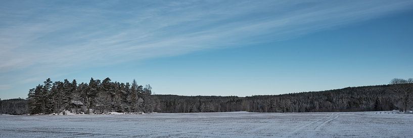 Winterschutz in den verschneiten Bäumen von Geertjan Plooijer