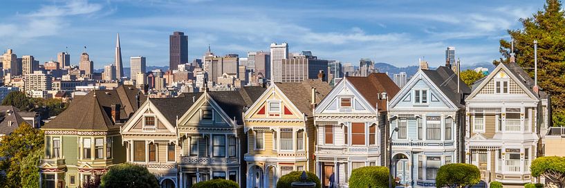 Painted Ladies &amp; San Francisco Skyline by Melanie Viola
