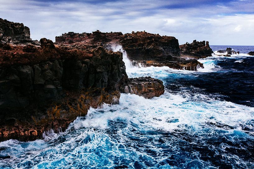 Wild Ocean by Walljar