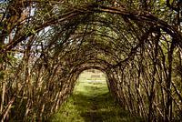Tunnel of nature