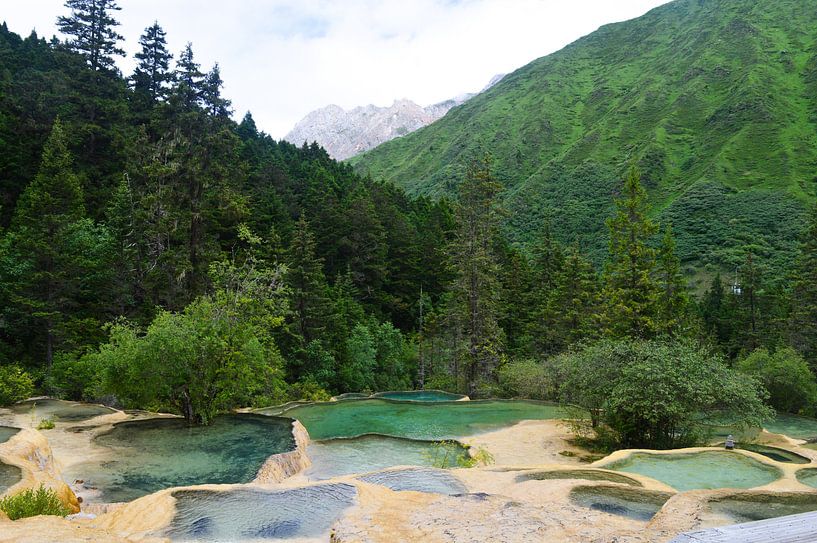 Fairy  land  on  earth par Zoe Vondenhoff